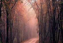 PG模拟器:NBA播客丨文霍斯特:詹姆斯不欠我任何东西 反而是我欠他很多.