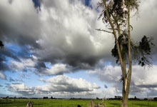 克罗斯：退役是深思熟虑后的决定，不想人们看到.