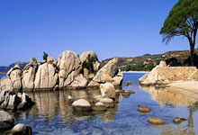 PG模拟器：轮炫黄浦，为爱奔跑！2025国际轮滑马拉松巡回赛（上海站）暨2025上海黄浦半程马拉松鸣枪开赛.